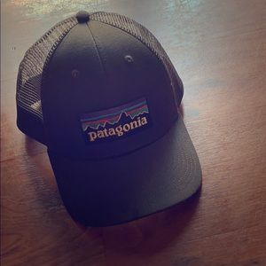 Patagonia Grey Trucker Hat